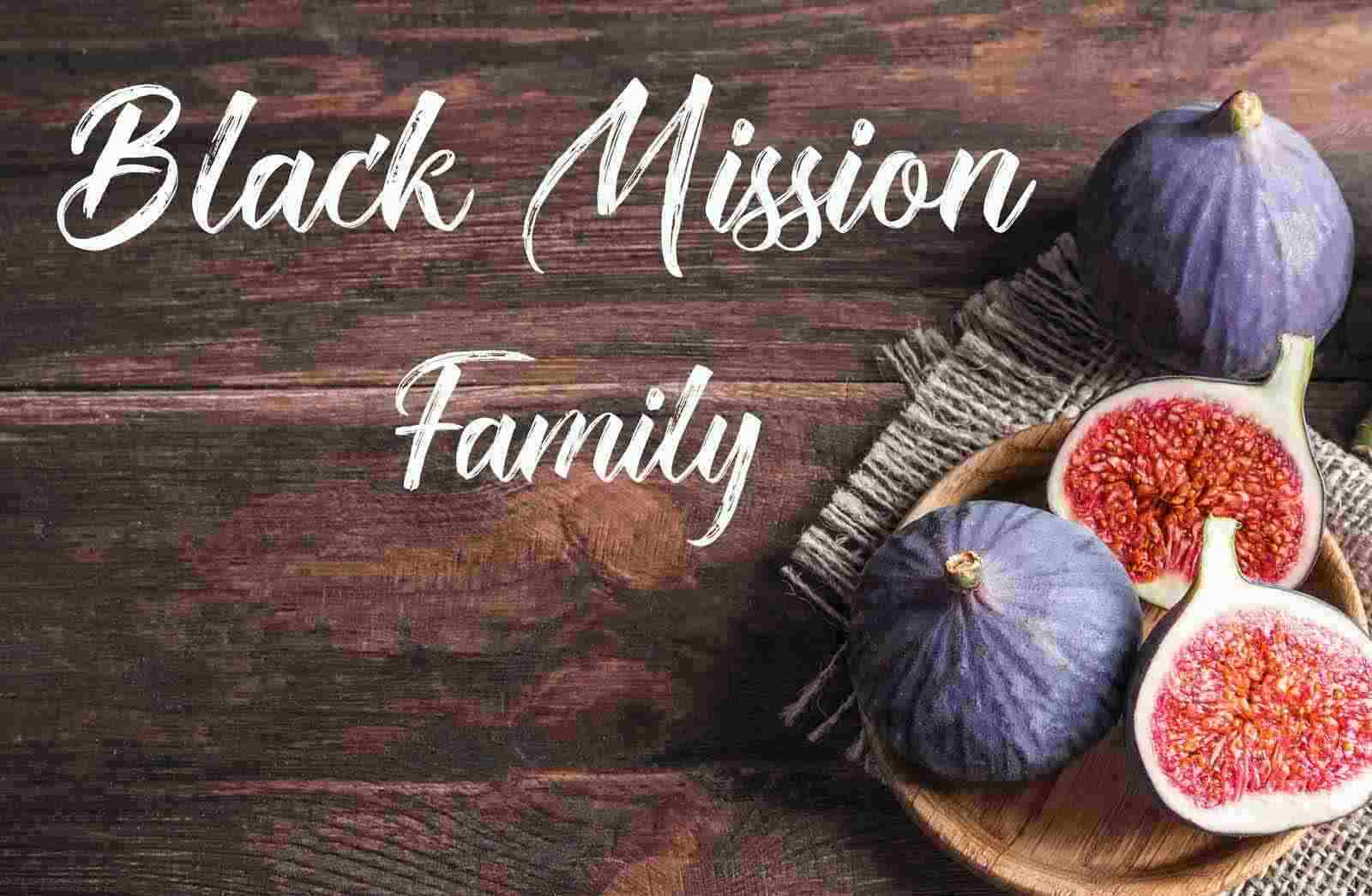 Black Mission Family