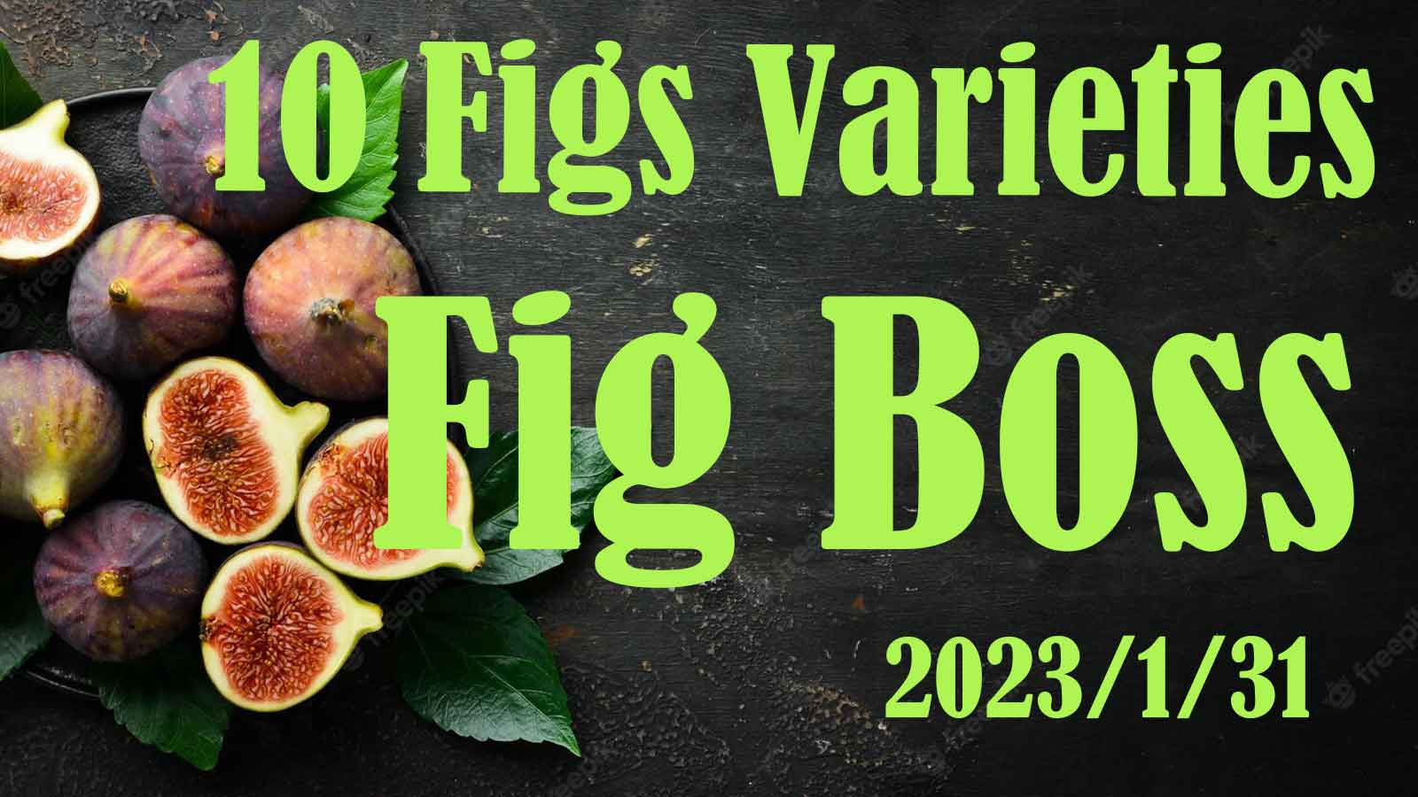 【Fig Boss】おすすめ9種＆ワースト1種
