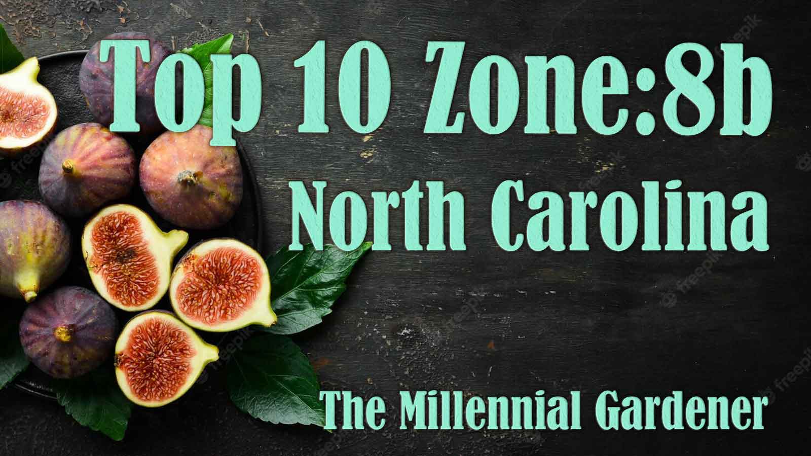 North-Carolina-Top10