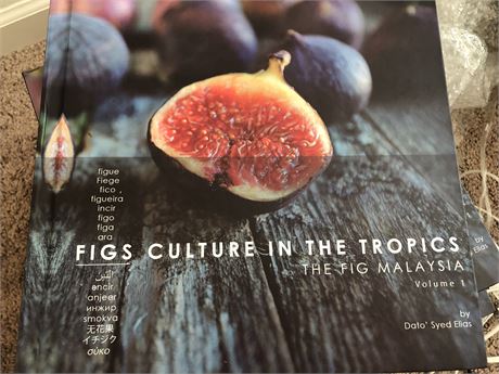 Figs culture in the tropics
